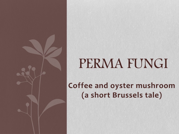 perma fungi