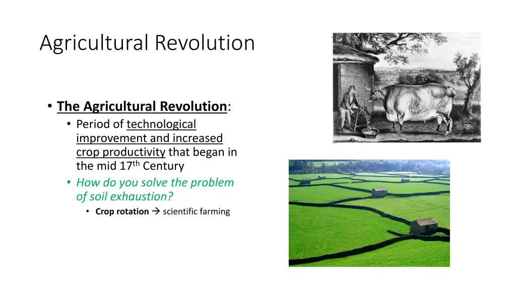 agricultural revolution