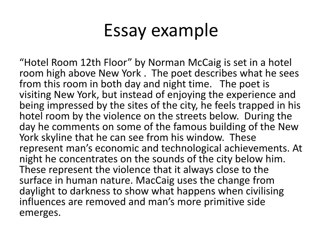 essay example