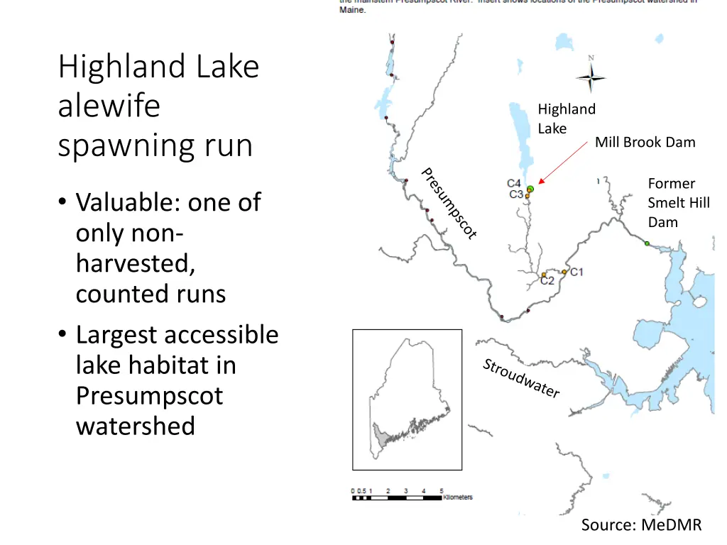 highland lake alewife spawning run