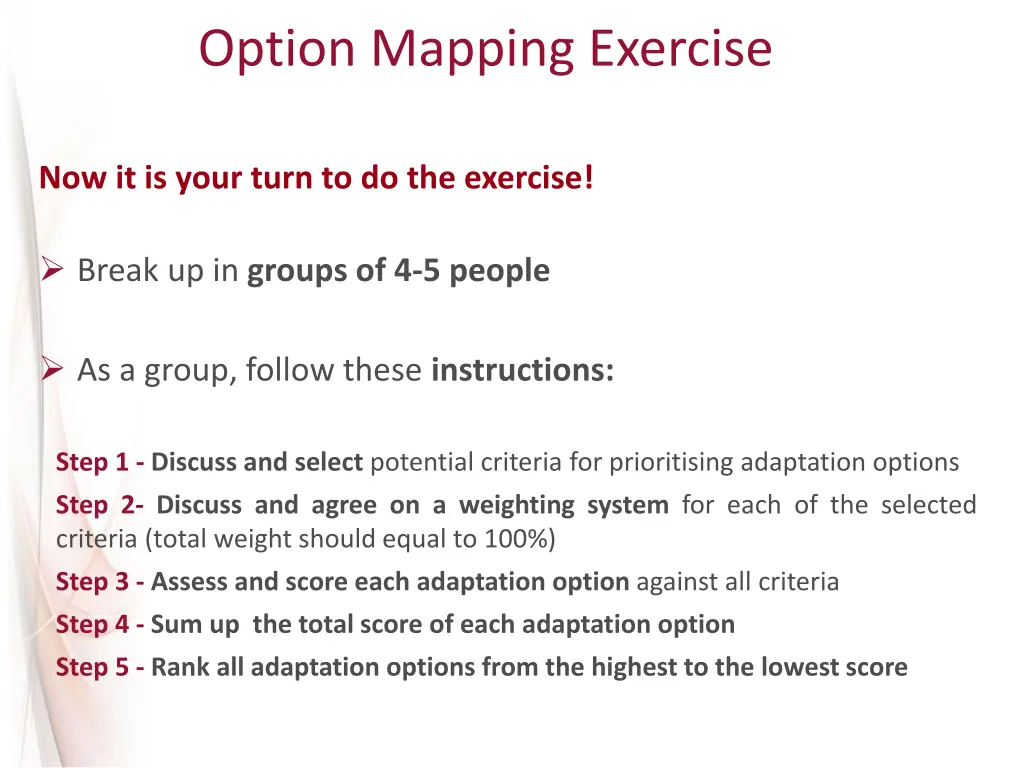 option mapping exercise