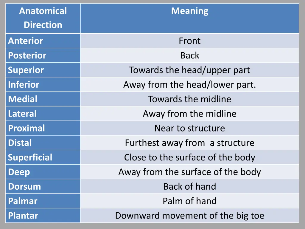 anatomical direction