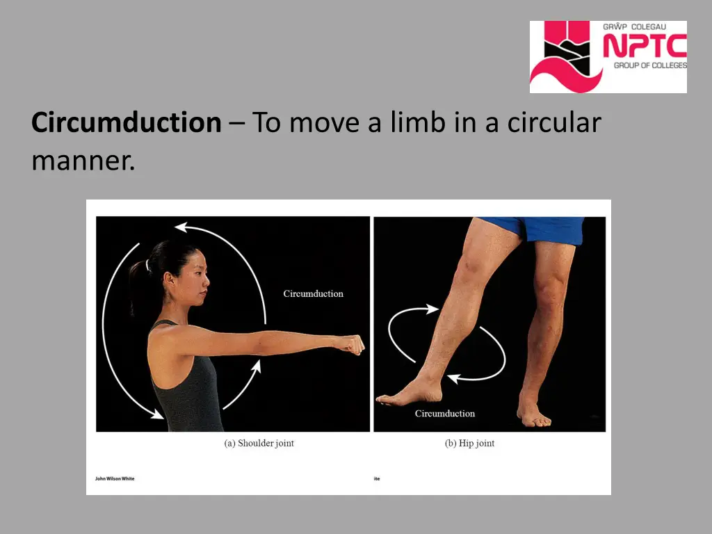 circumduction to move a limb in a circular manner