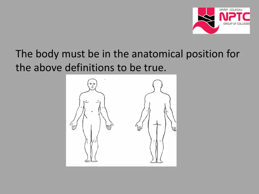 the body must be in the anatomical position