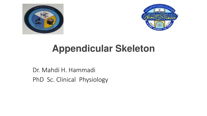 appendicular skeleton