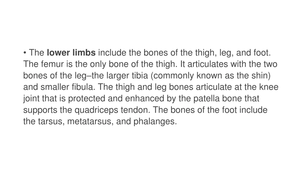 the lower limbs include the bones of the thigh