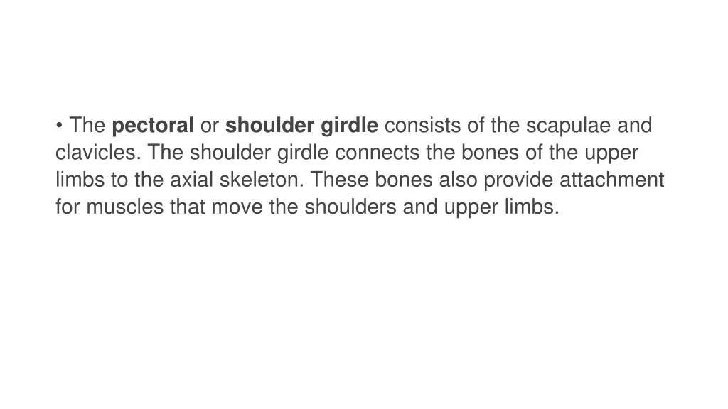 the pectoral or shoulder girdle consists