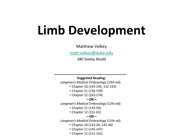 limb development