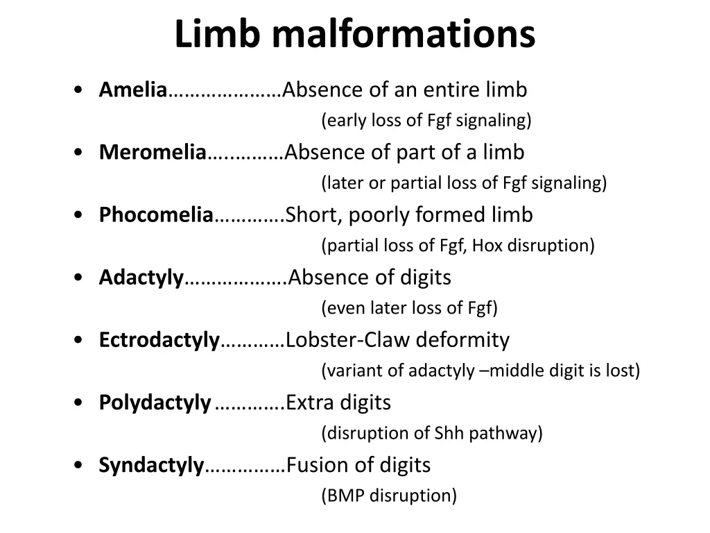 limb malformations