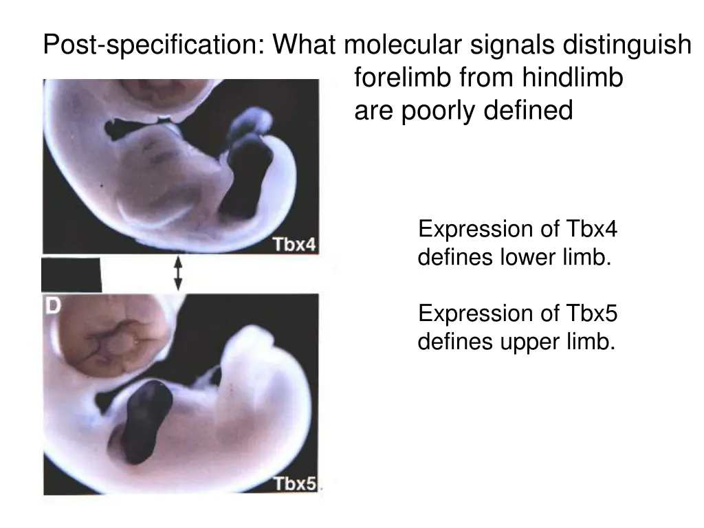 post specification what molecular signals