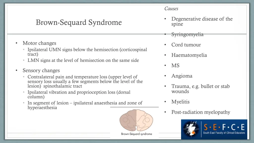 causes