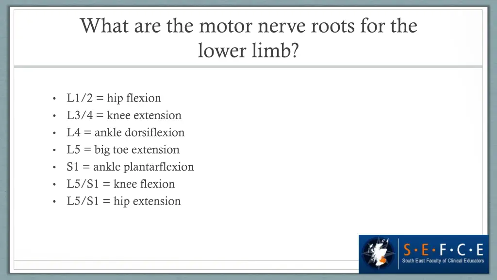 what are the motor nerve roots for the lower limb