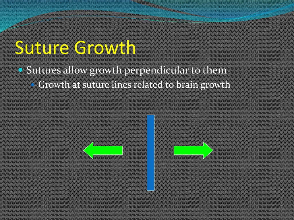 suture growth