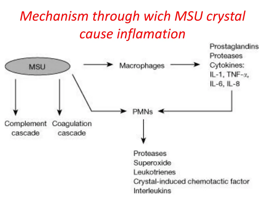 mechanism through wich msu crystal cause