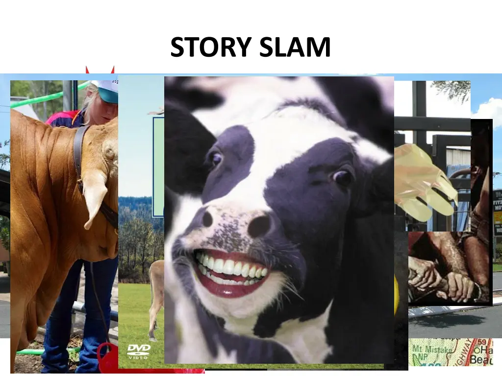 story slam