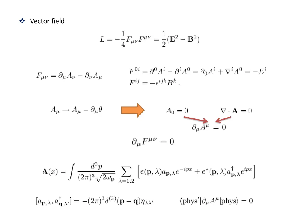 vector field