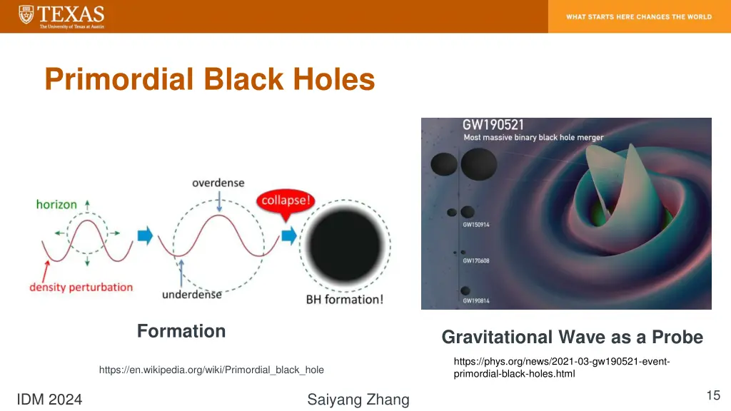 primordial black holes