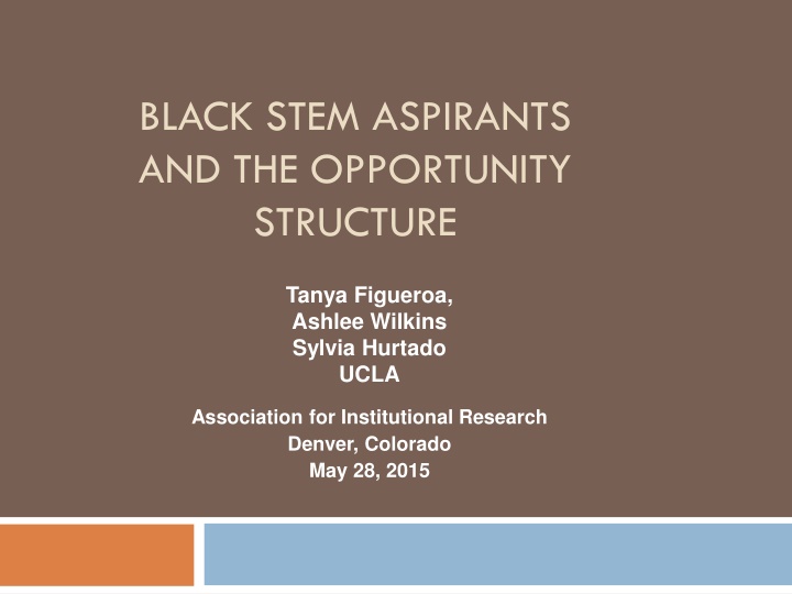 black stem aspirants and the opportunity structure