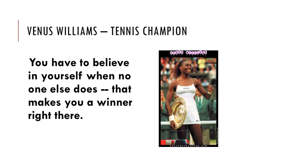 venus williams tennis champion