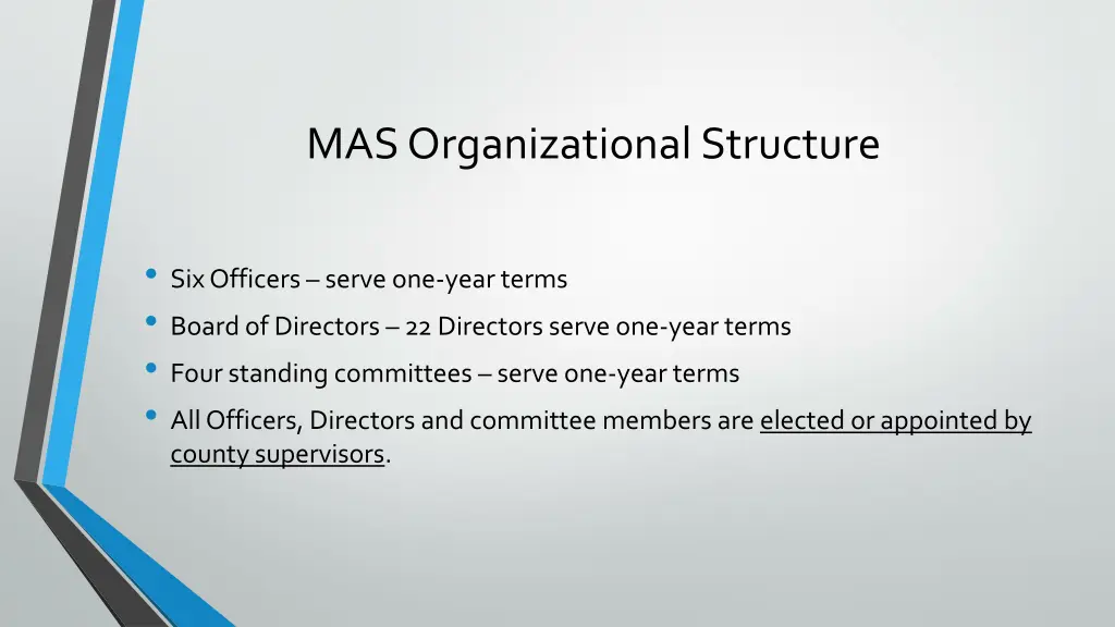 mas organizational structure