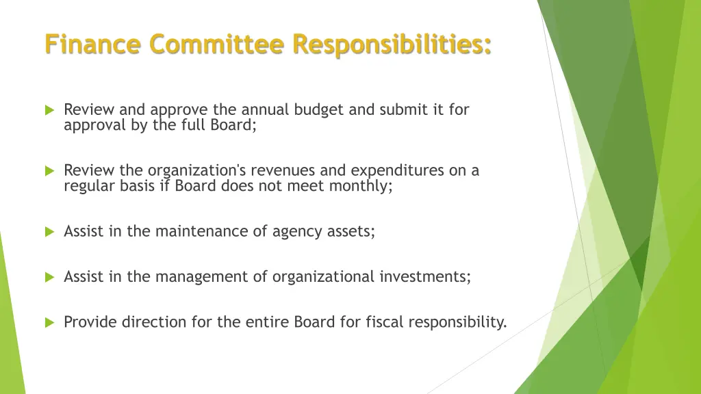 finance committee responsibilities