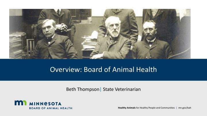 overview board of animal health