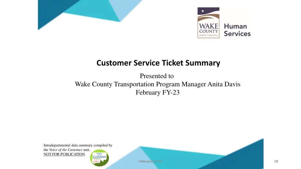 customer service ticket summary