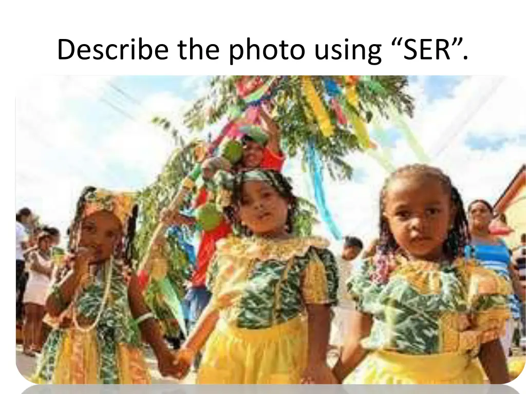 describe the photo using ser