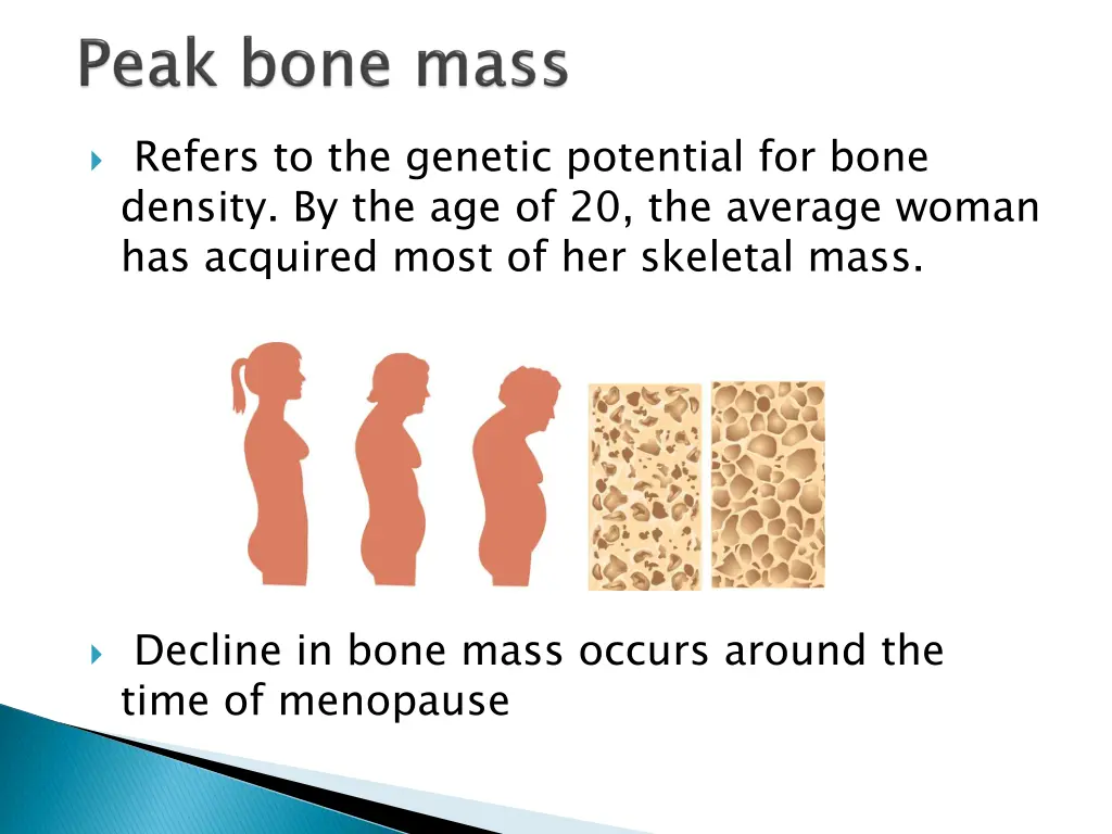 refers to the genetic potential for bone density