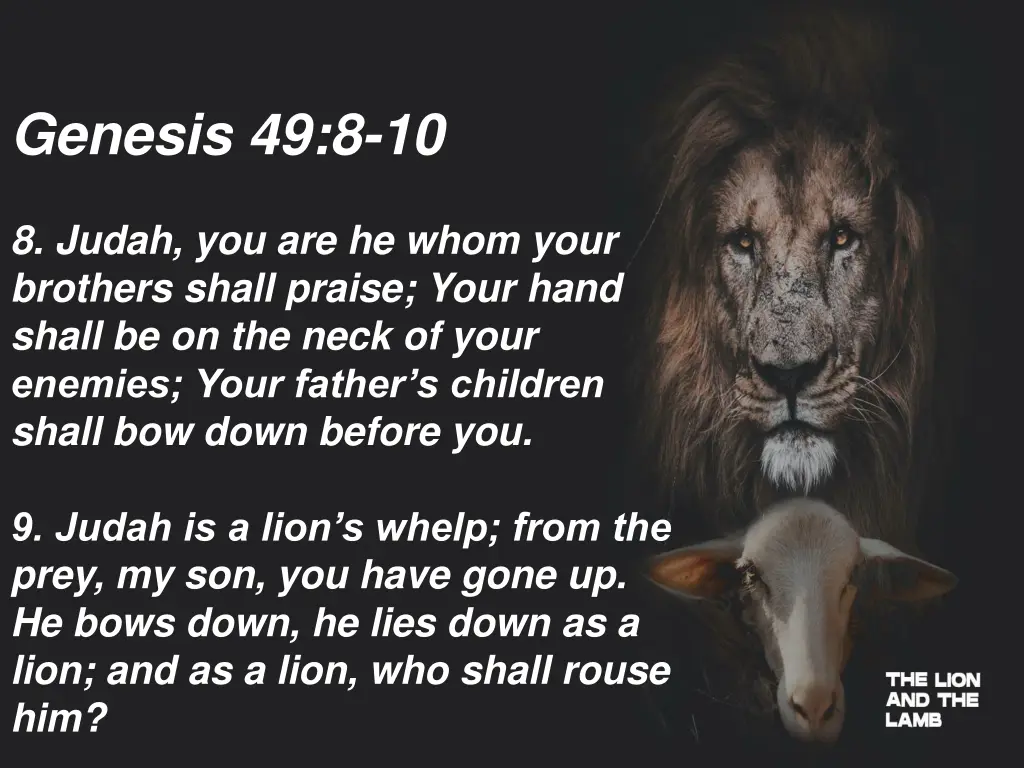 genesis 49 8 10 8 judah you are he whom your