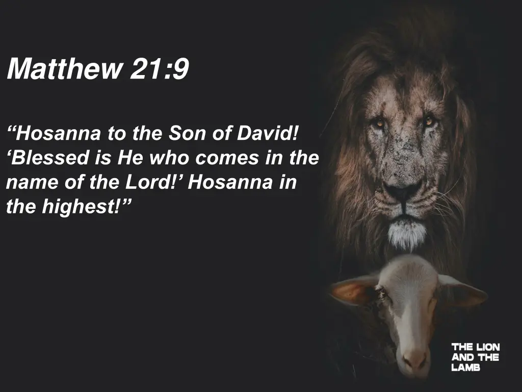 matthew 21 9