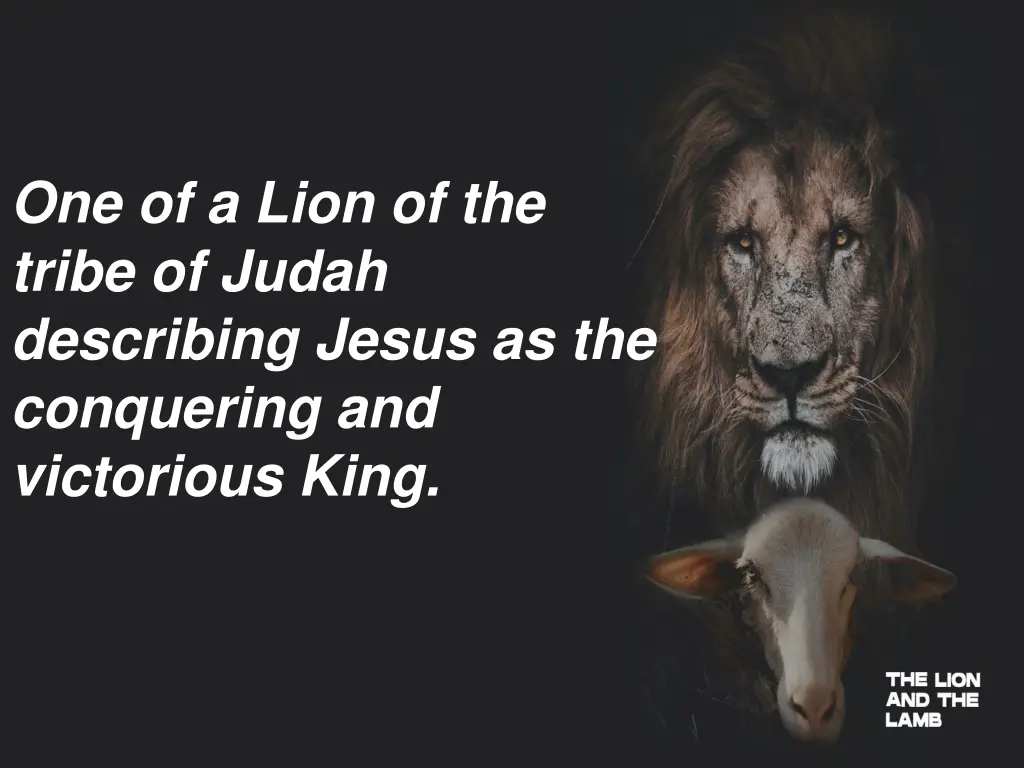 one of a lion of the tribe of judah describing