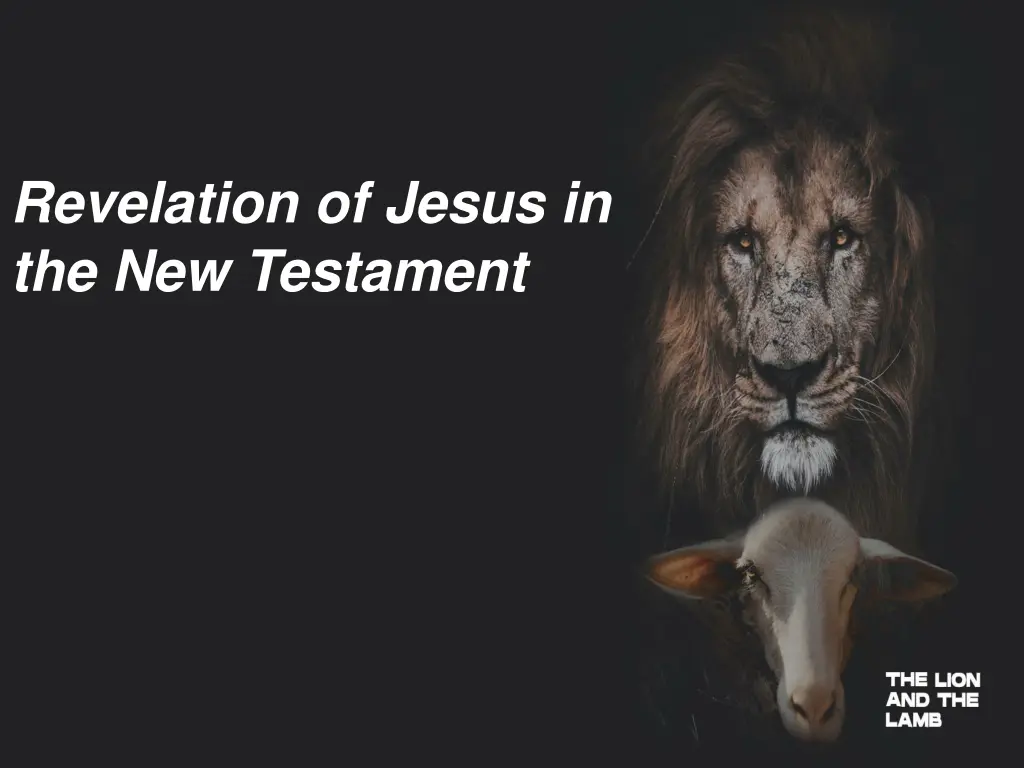 revelation of jesus in the new testament