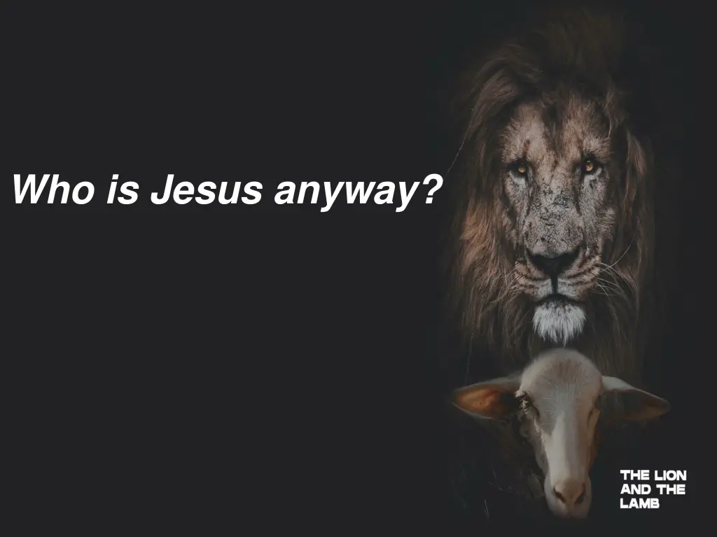 who is jesus anyway