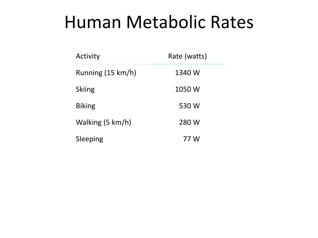 human metabolic rates