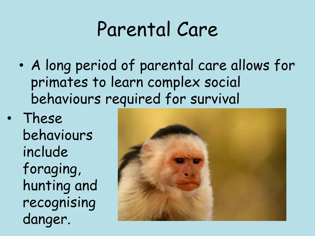 parental care 1