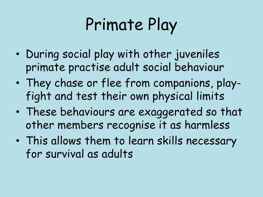 primate play