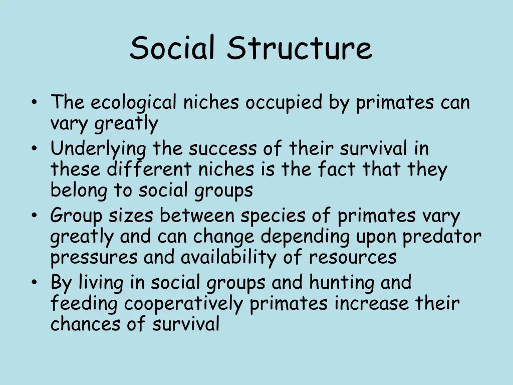 social structure 1