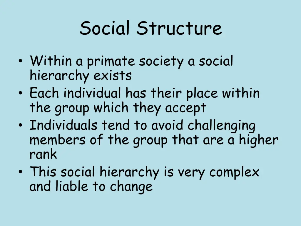 social structure