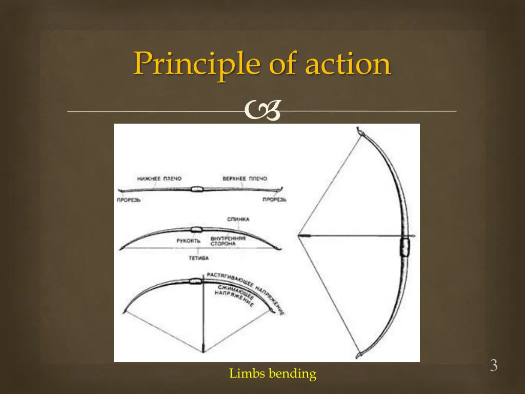 principle of action