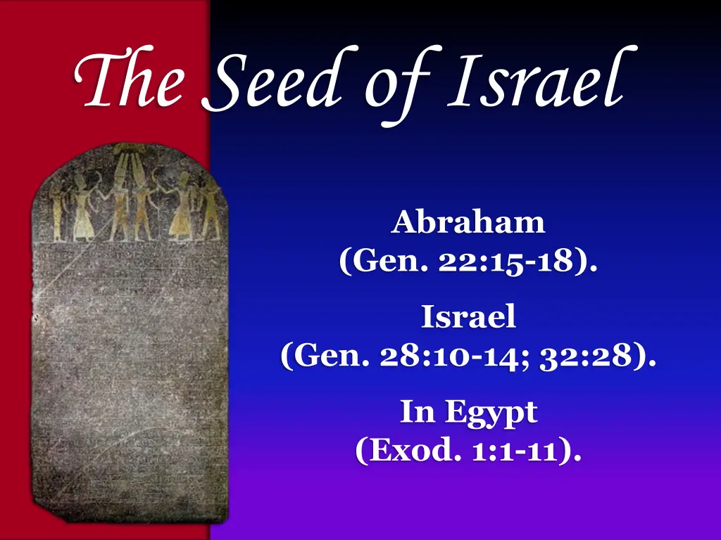 the seed of israel