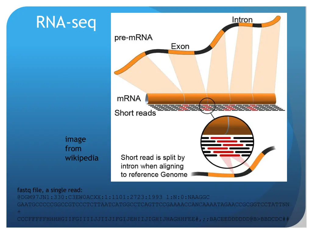 rna seq