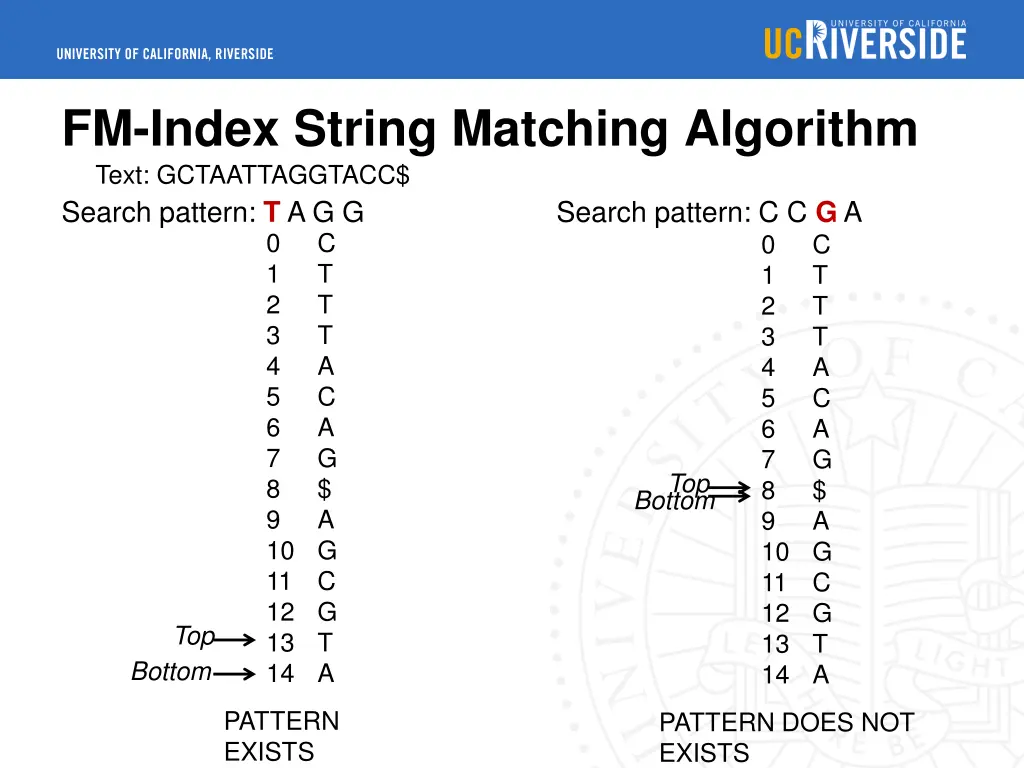 fm index string matching algorithm text