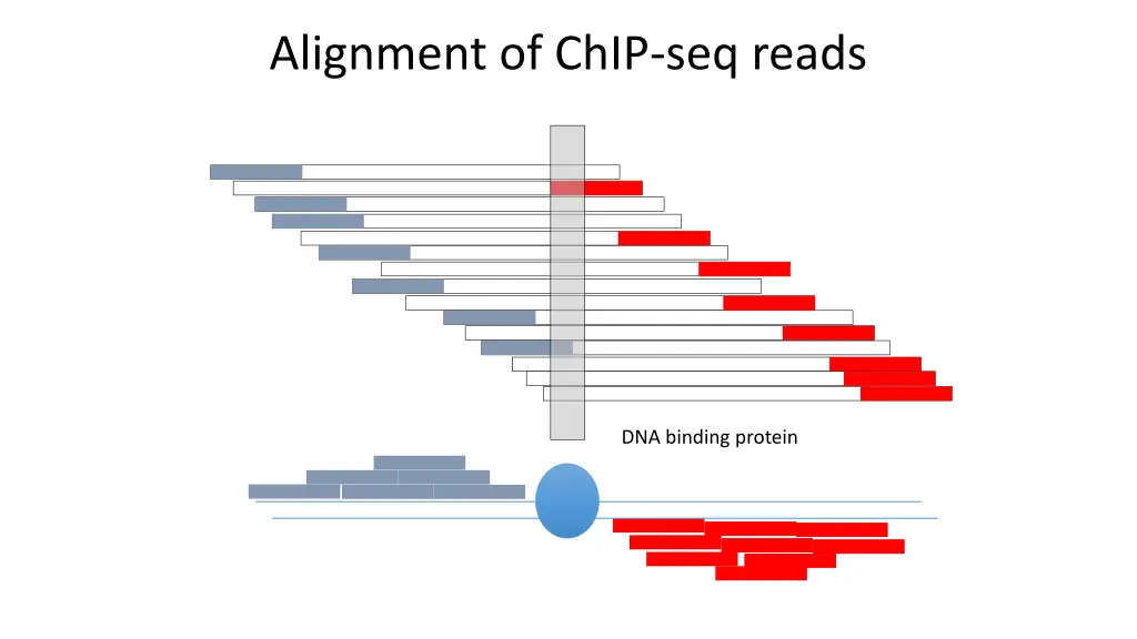 alignment of chip seq reads