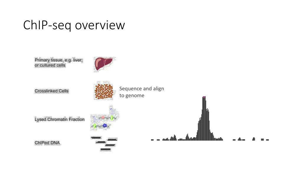 chip seq overview