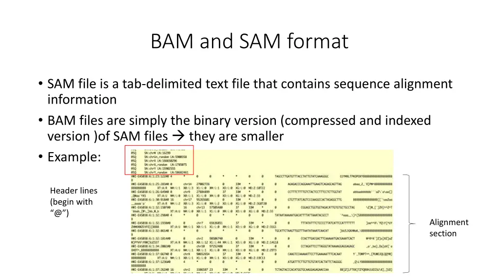 bam and sam format