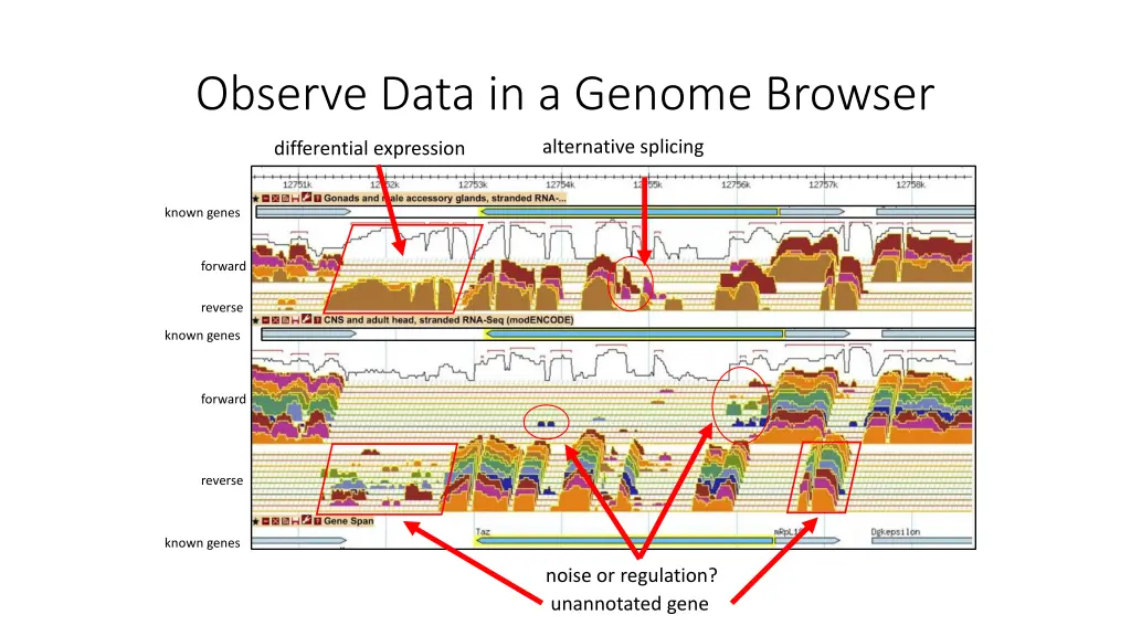 observe data in a genome browser 1