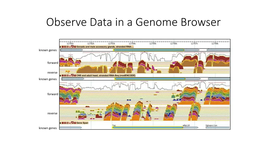 observe data in a genome browser