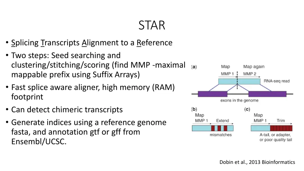 slide11