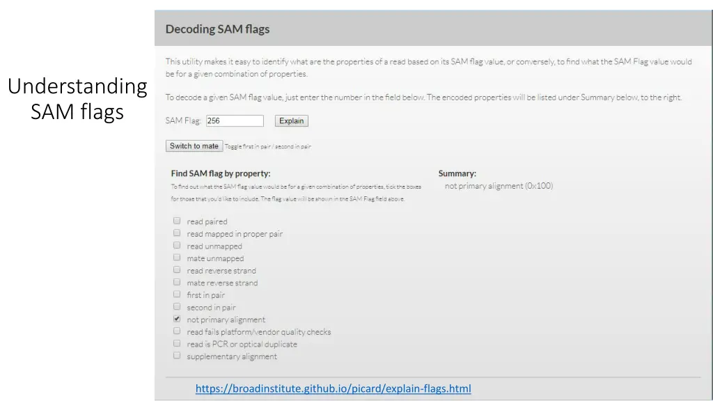 understanding sam flags